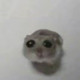 \/\/[]○●○●♤