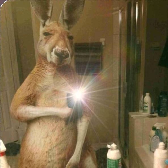 💎1Qt...Flavio🇮🇹