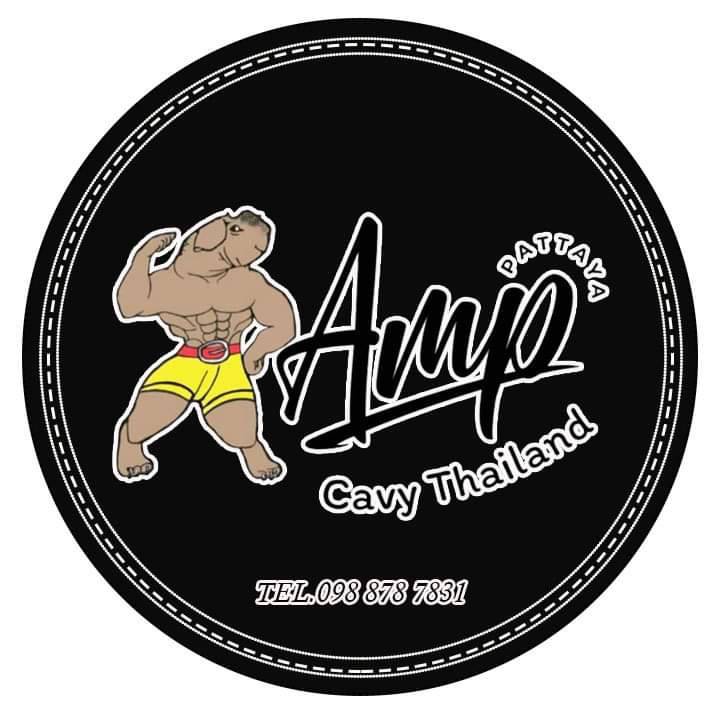 หนูแกสบี้ Amp Cavy Pattaya