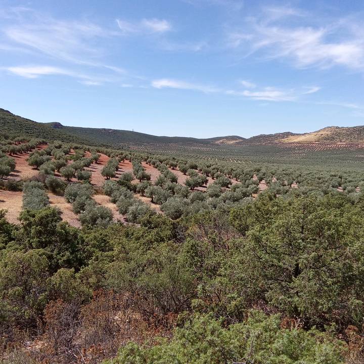 Vagabontd😈Cu sentimente😈👿