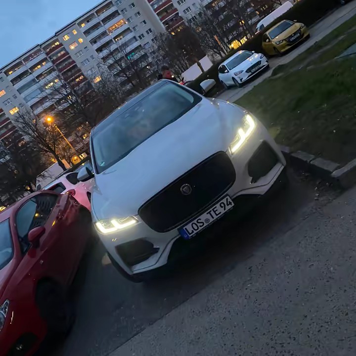 Beschützer des Dämonen Hauses