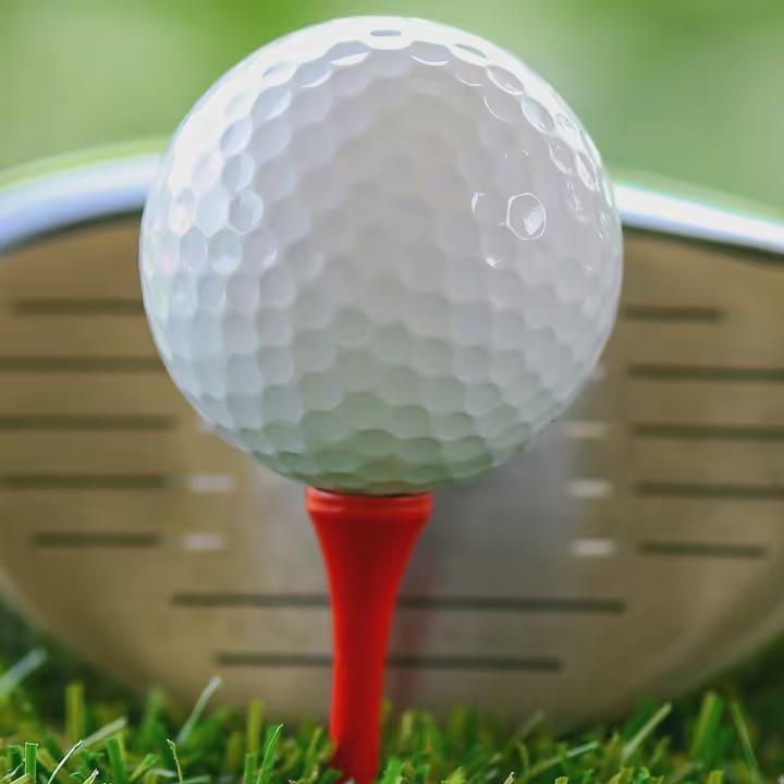 the top golfer world