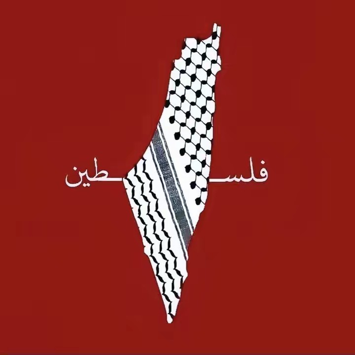 حقوق المرأة 🎀 𓂆