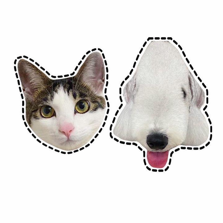 밍밍글패밀리 Mingmingle