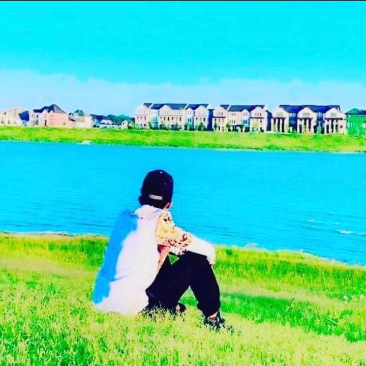 🦅 🦅 wrong turn bird