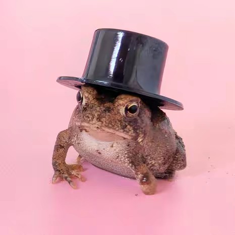 Frog