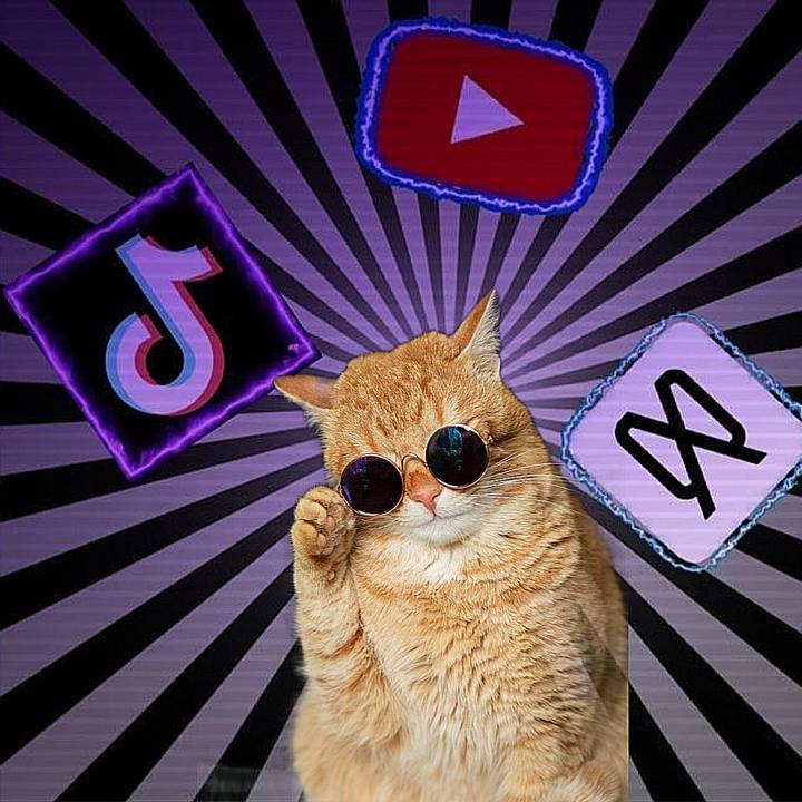 ⏤͟͟͞͞★𝑷𝑯𝒀𝑶 စာတို✔