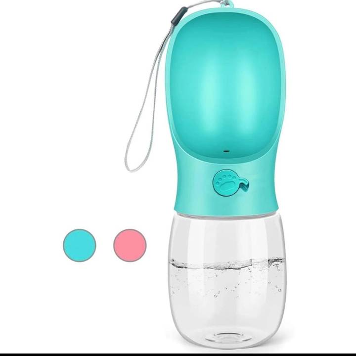 Grand Choice Spotlight LLC