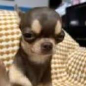 Easy peasy lemon squeezy