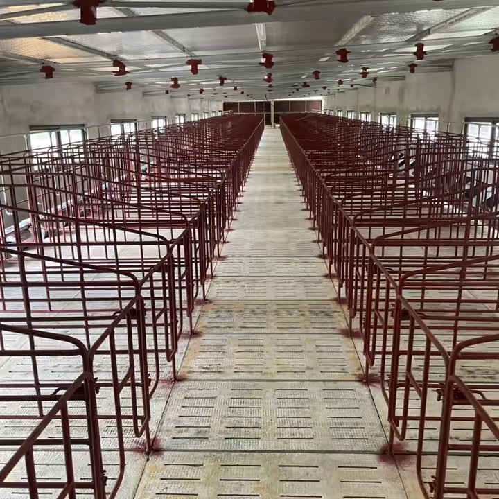 Dụng cụ chăn nuôi Phương Lệ