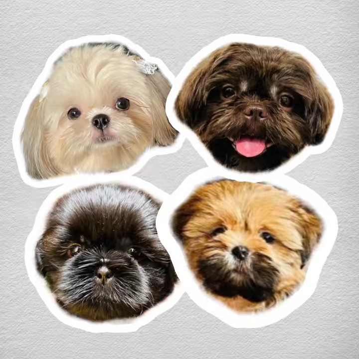 Ponyo & Toby 🐻‍❄️🐻