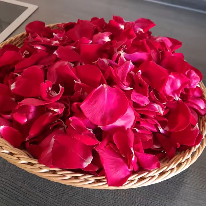 🇩🇪♥ وطندار 🇦🇫♥