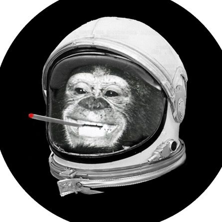 Space Apes