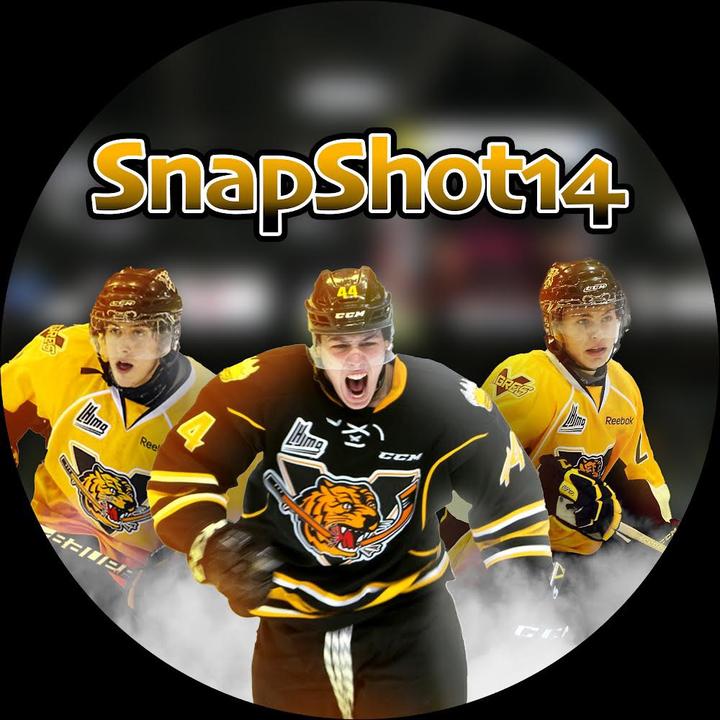 SnapShot14 hockeycards