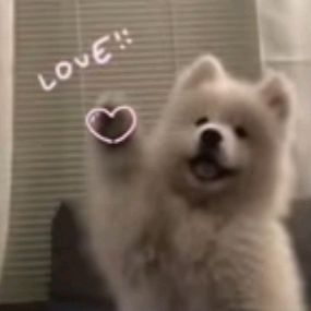 ♡Sᴀᴜɴɢ Hɴɪɴ Oᴏ♡