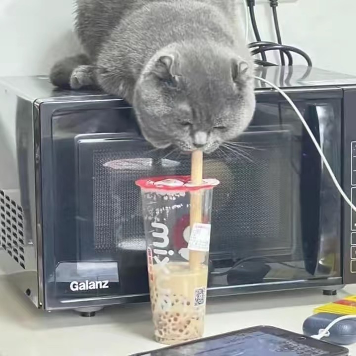 เกิดมาทำไม