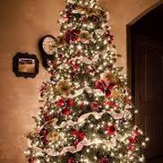 follow me for a follow back !