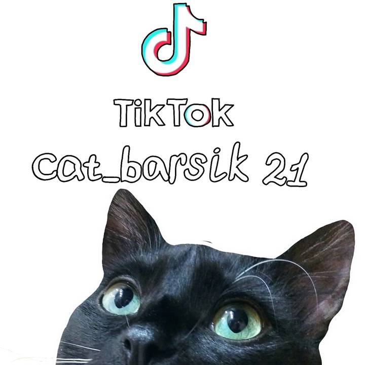𝑪𝒂𝒕 𝑩𝒂𝒓𝒔𝒊𝒌