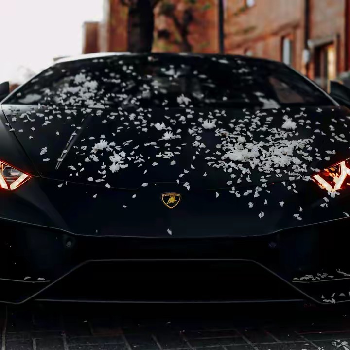 AutoPick