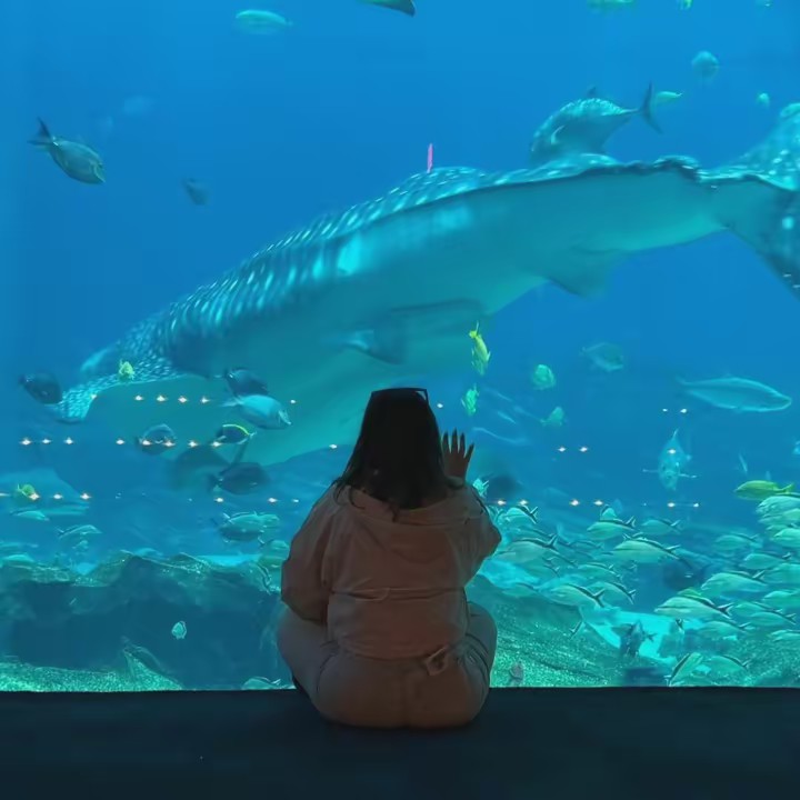 LoveOurOceans 🪸🫧