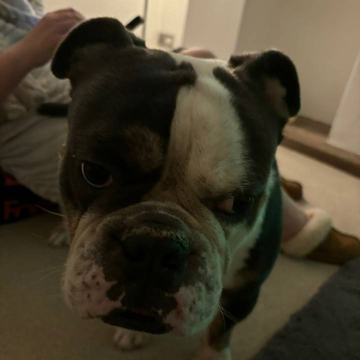 Archie⚽️⚽️⚽️