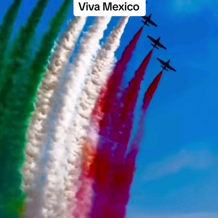 (๑♡⌓♡๑) MILTON MX 123