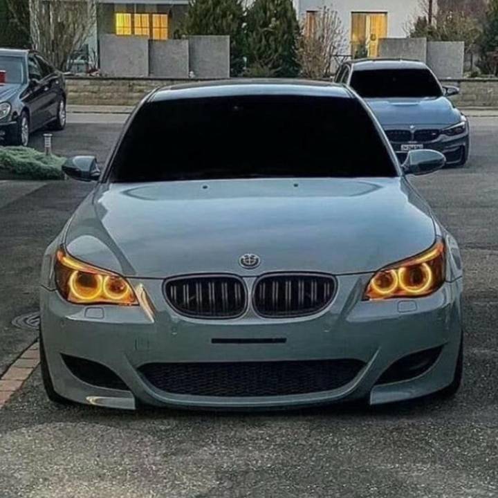 𝓜𝓪𝔂𝓪🖤🐆