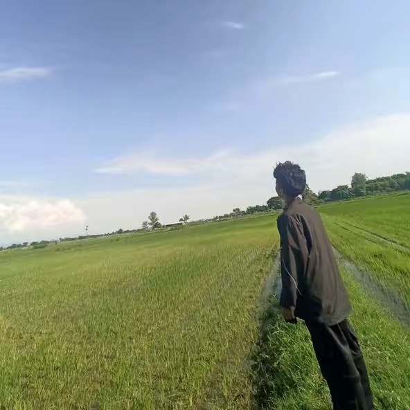 💥ဟံသာဝတီမင်း💥