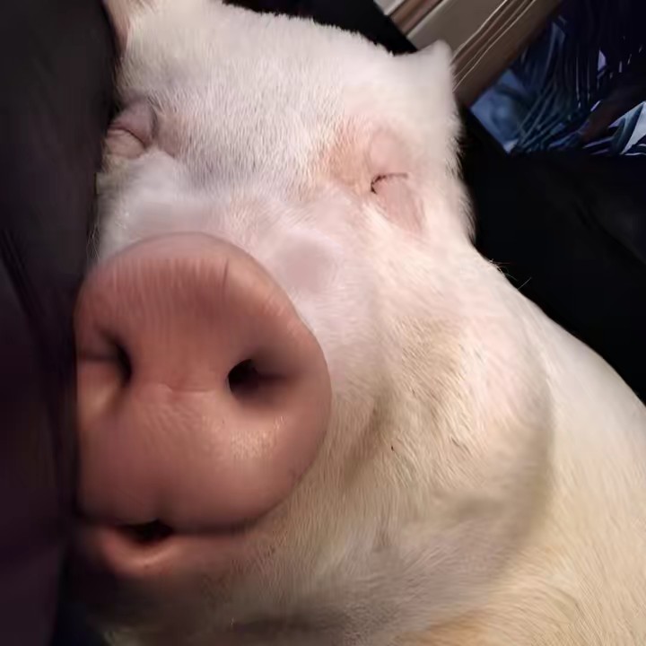 ✅ ของมันต้องมีจ้าา 💄💗👠👗👜