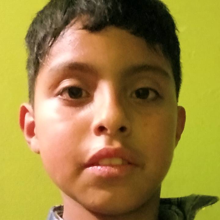 @lobo🐺🐺🐺silesioso