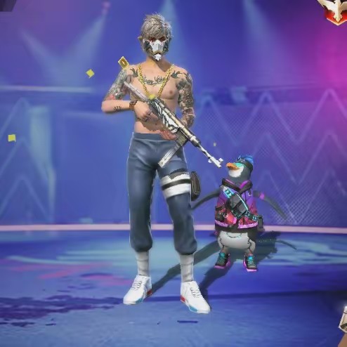 team . American pitbull terrie