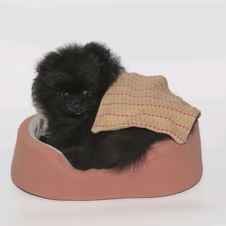 live_to_learn_and_explore