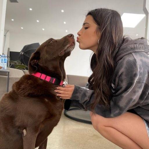 @ L e l e h  ‘ ★ !