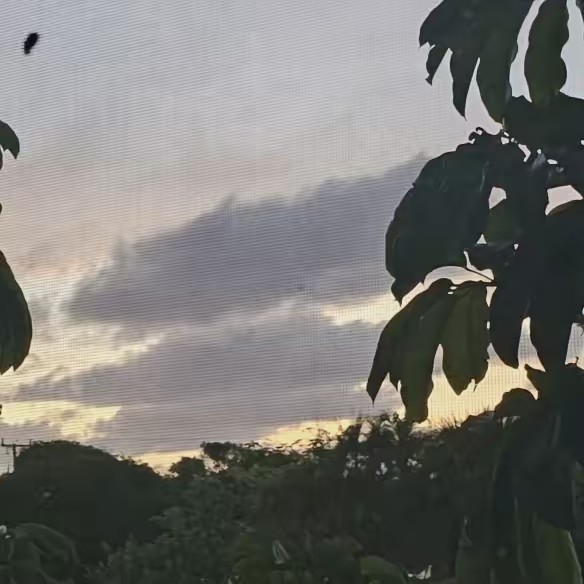 La ñañita❤️🐈