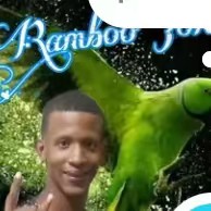 ⚡️🦜👹rambo30k👹🦜⚡️