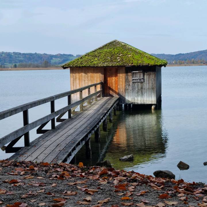 free_feather♡♡♡