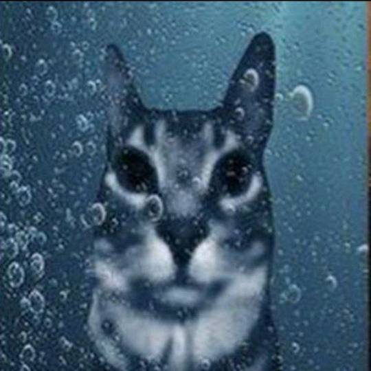 нагибатор пенисов