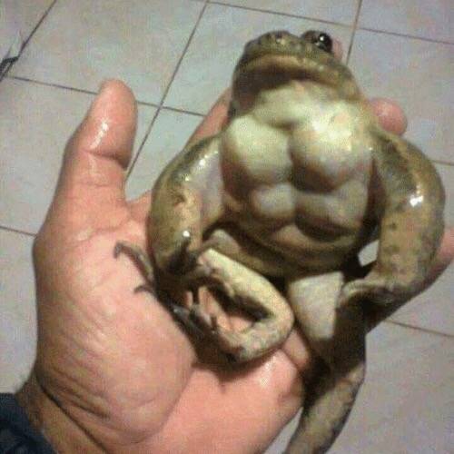 Álvaro Amador Pomares