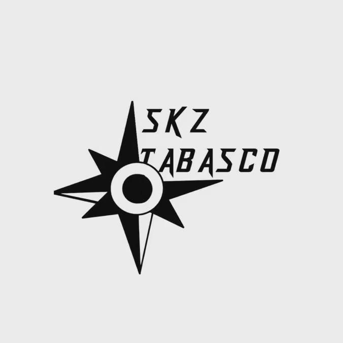 ˙ 【 𝗦𝗸𝘇 𝗧𝗮𝗯𝗮𝘀𝗰𝗼 】 ˙