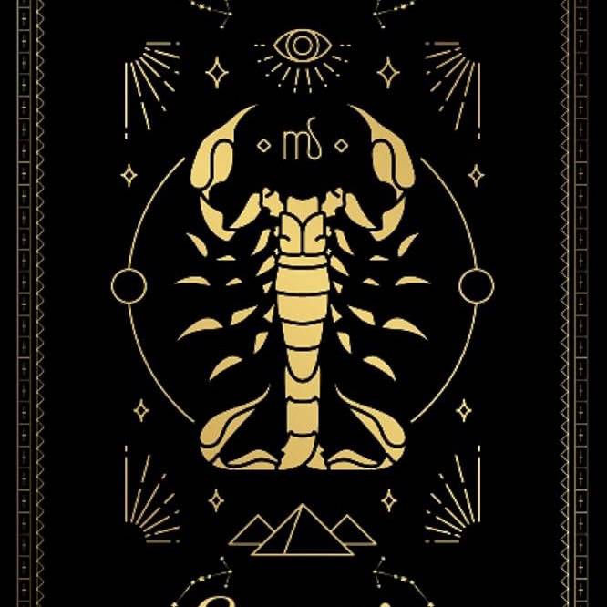 🐰JEFFER BUNNY🐰