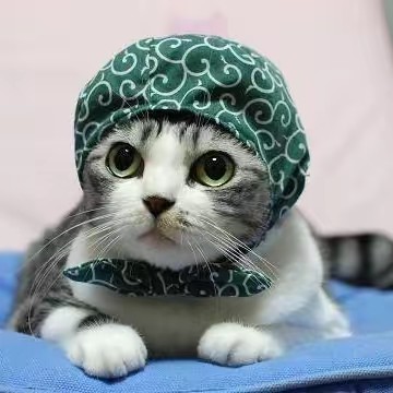 このドロボー猫‼️