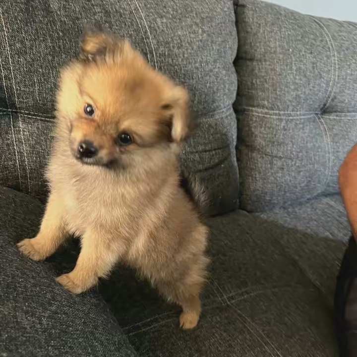 🧿💫سارة    مولي