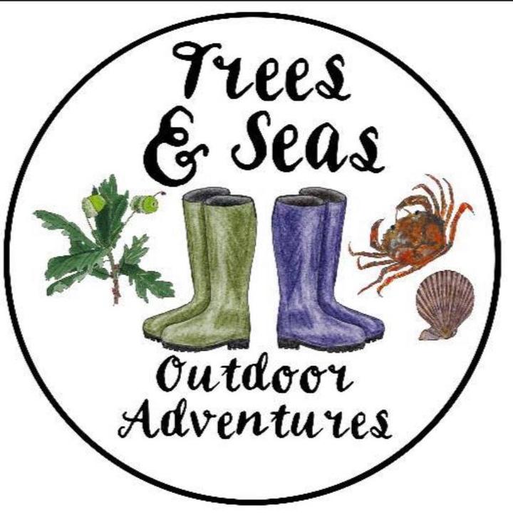 Trees and Seas Outdoors