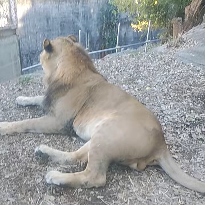 ꒰ঌ꒦꒷♡Rilu♡꒷꒦໒꒱