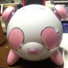 🐻‍❄️ほし❤️