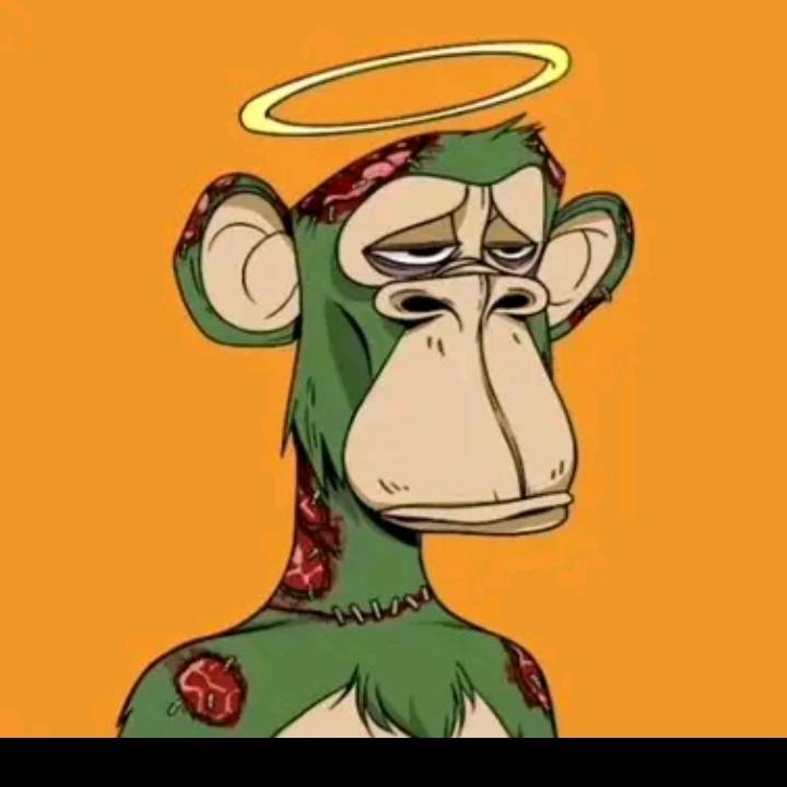 me wise me monkey m and skater