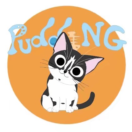 Pudding | Cat UGC Creator