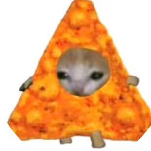 ⚡V I D E O S. R A D O M⚡