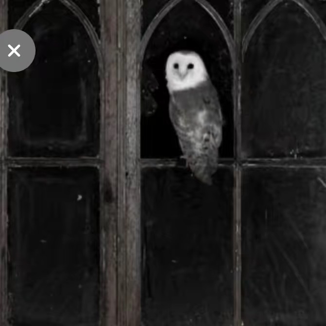 °｡⋆ཐི♱ཋྀ⋆｡°