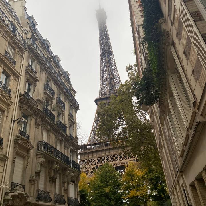 ꨄ︎ 𝐀 𝐋 𝐈 𝐂 𝐄 ꨄ︎